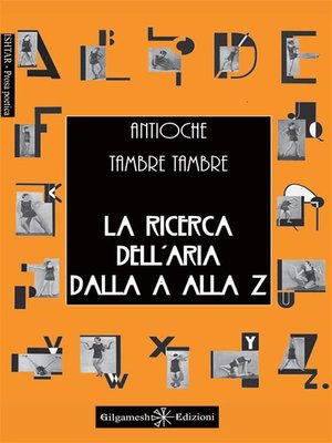 cover image of La ricerca dell'aria dalla a alla Z